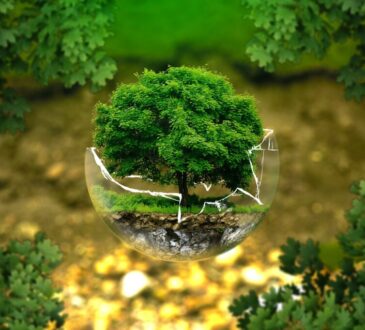 Giornata mondiale dell’ambiente
