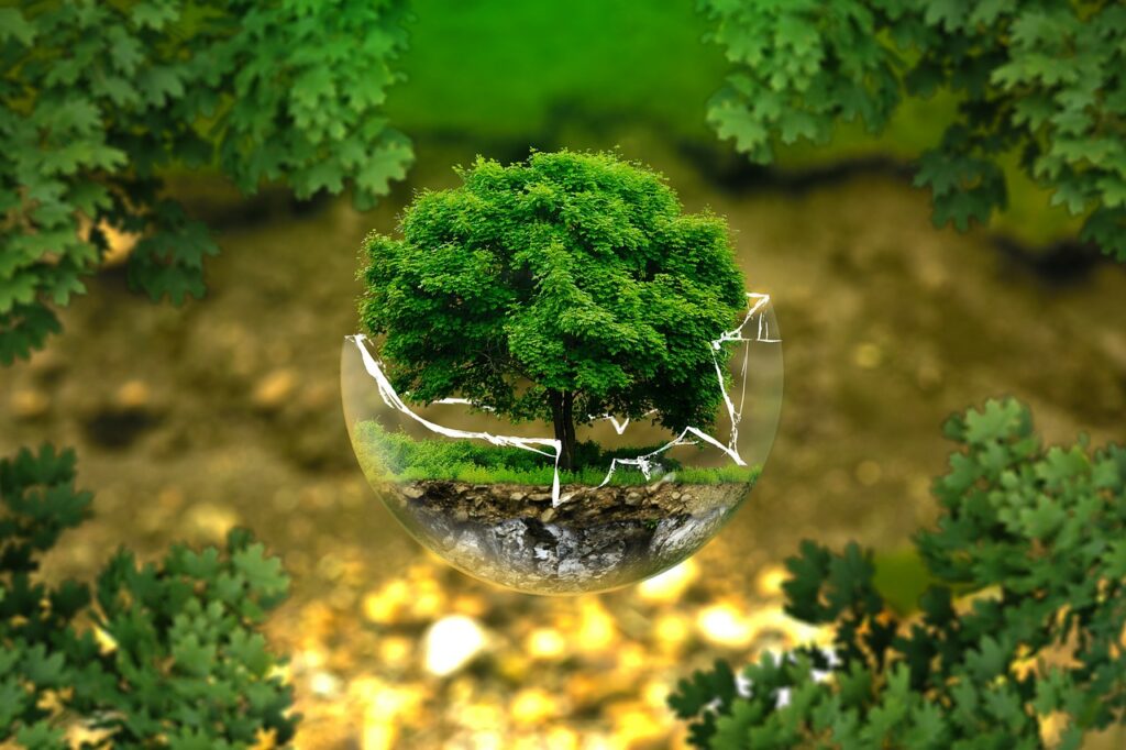 Giornata mondiale dell’ambiente