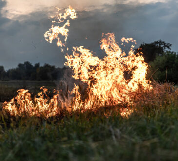 Allarme incendi