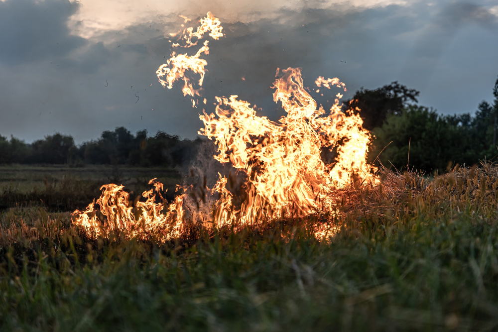Allarme incendi