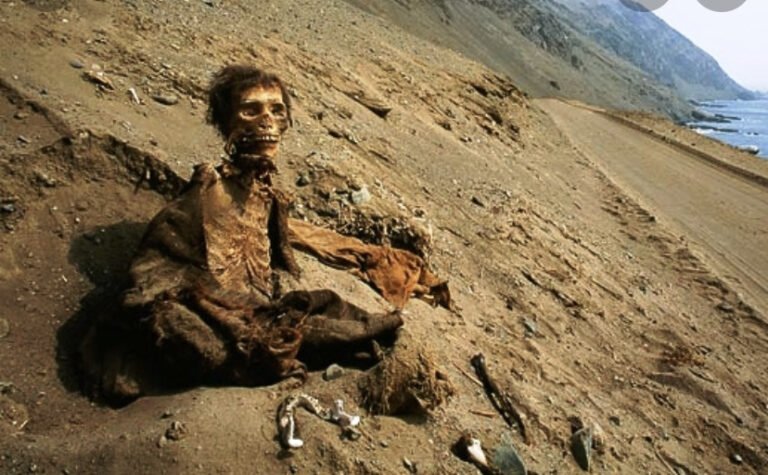 Mummie