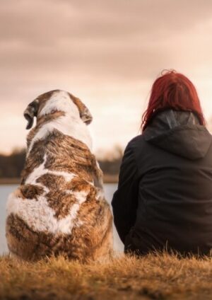 Cane e uomo tumori