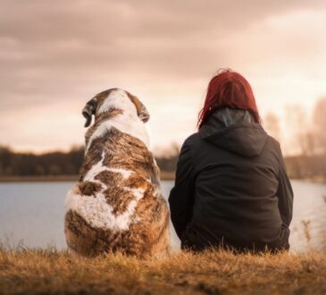 Cane e uomo tumori