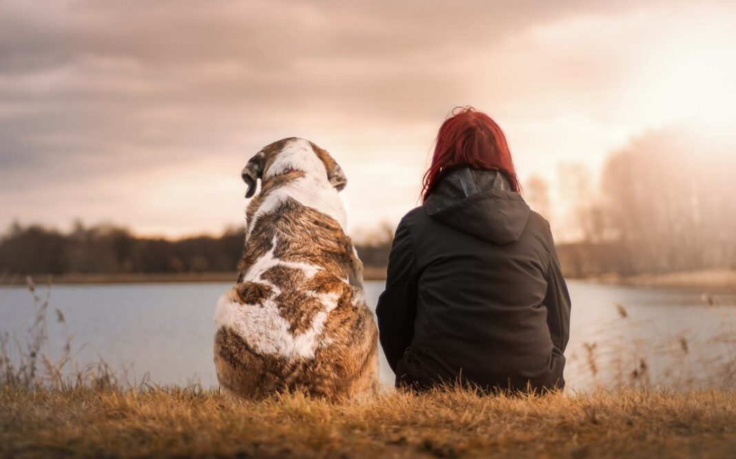 Cane e uomo tumori