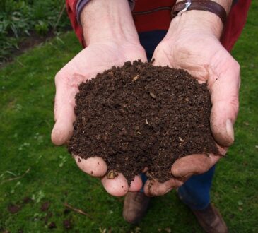 compostaggio umano