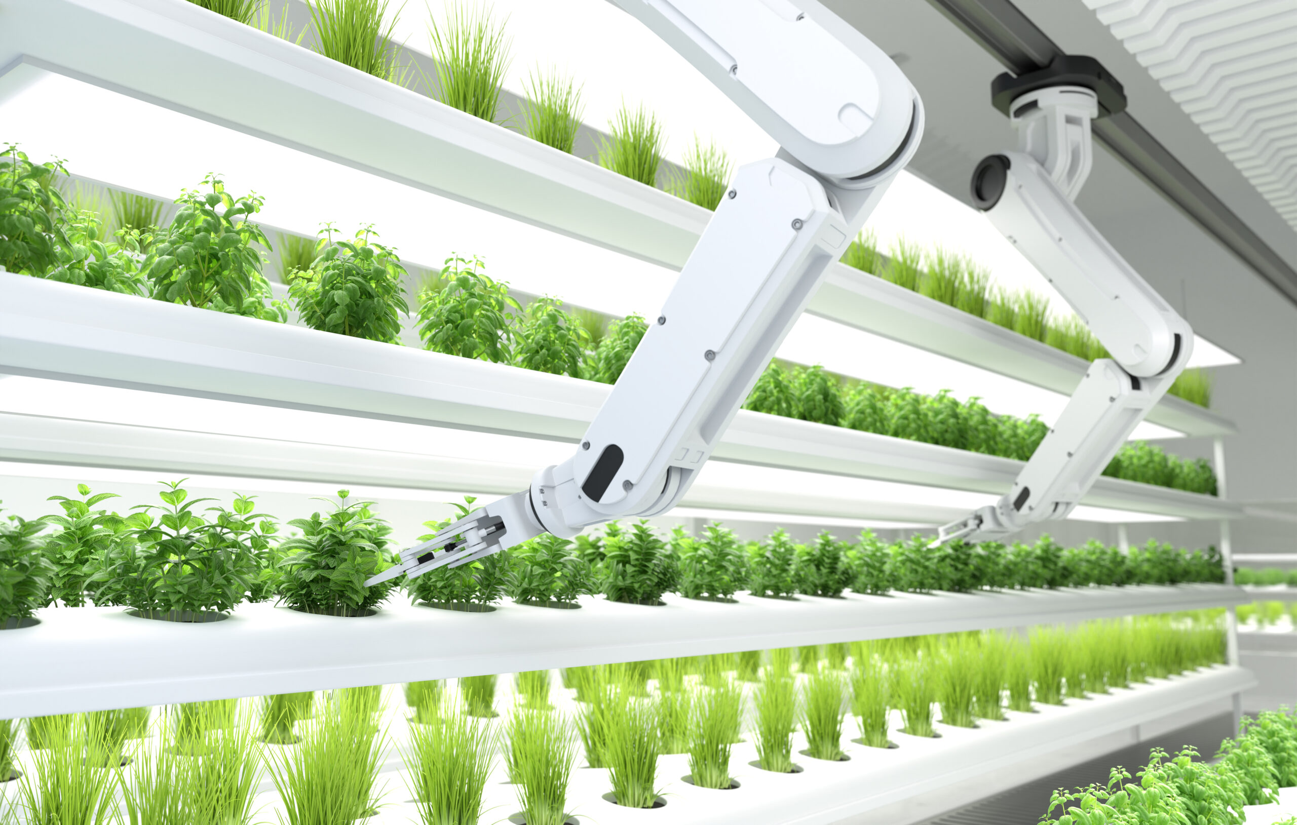agricoltura verticale