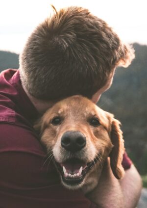 Cane e uomo