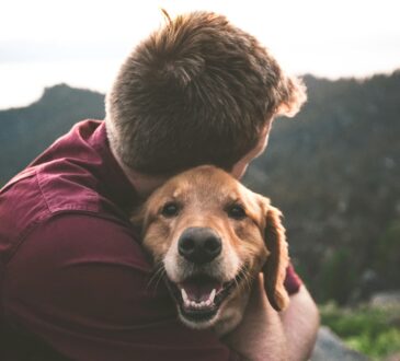 Cane e uomo