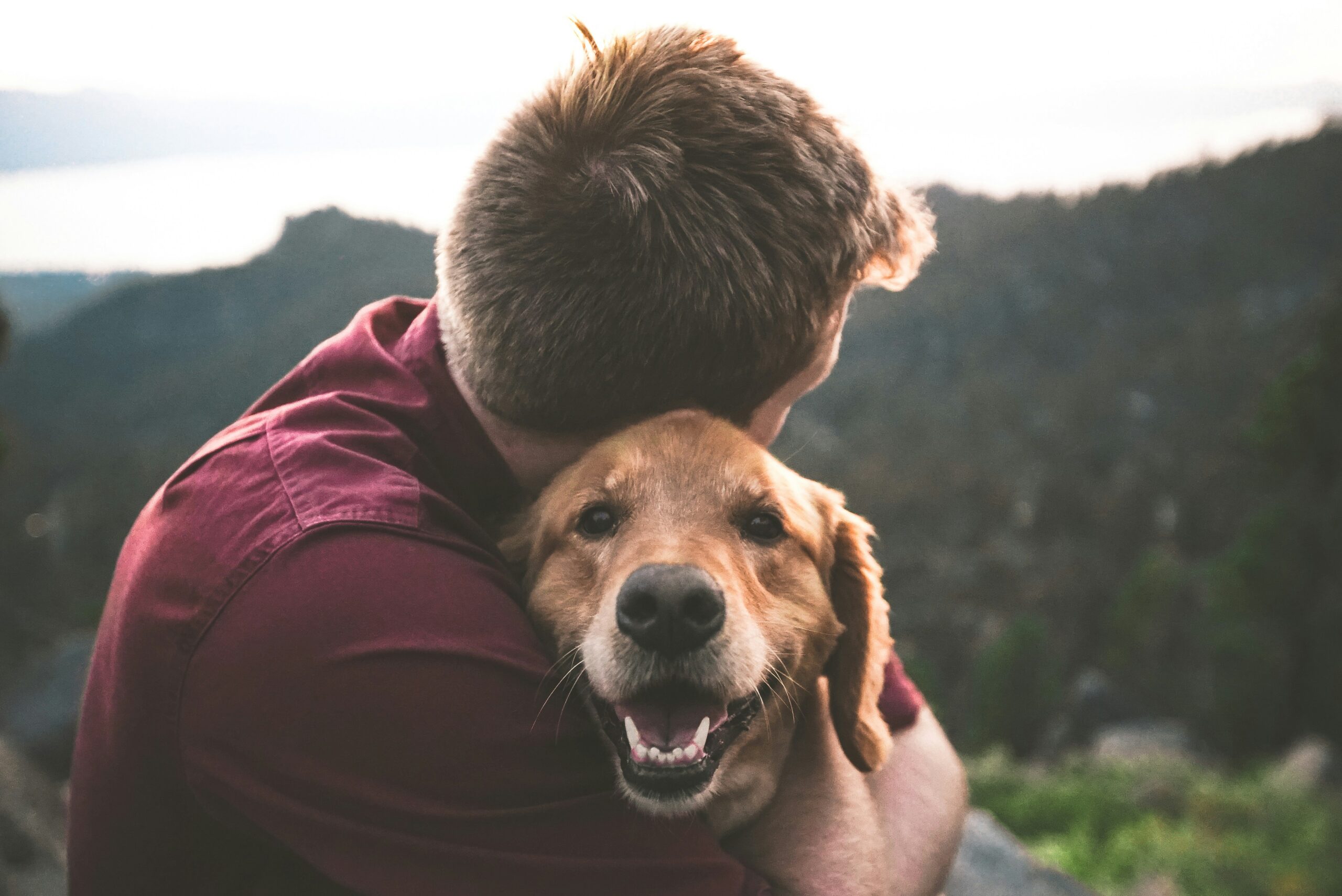 Cane e uomo