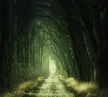 GREEN CRIMINOLOGY