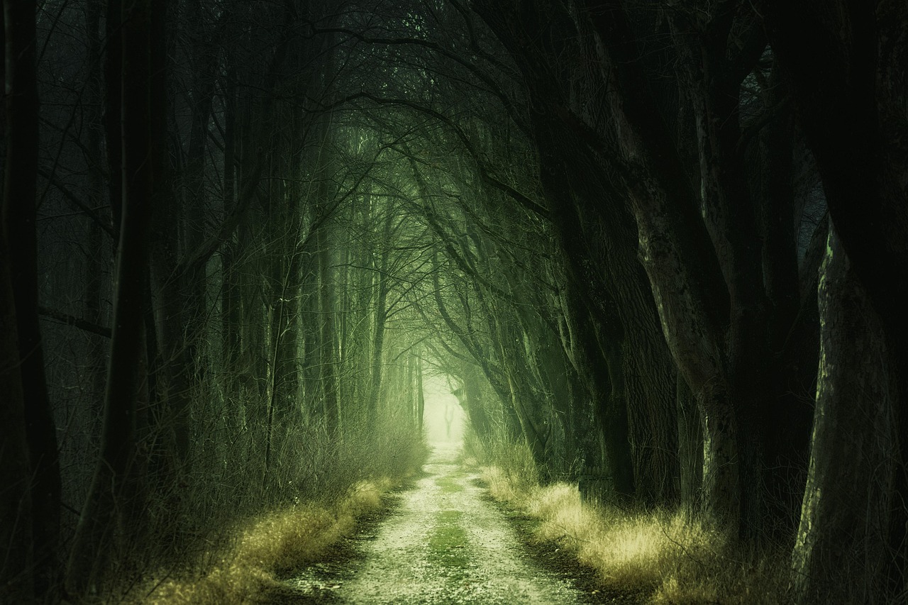 GREEN CRIMINOLOGY