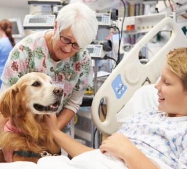 Pet Therapy