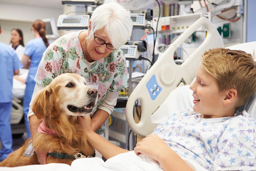 Pet Therapy