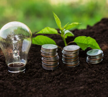 Sviluppo sostenibile e green economy