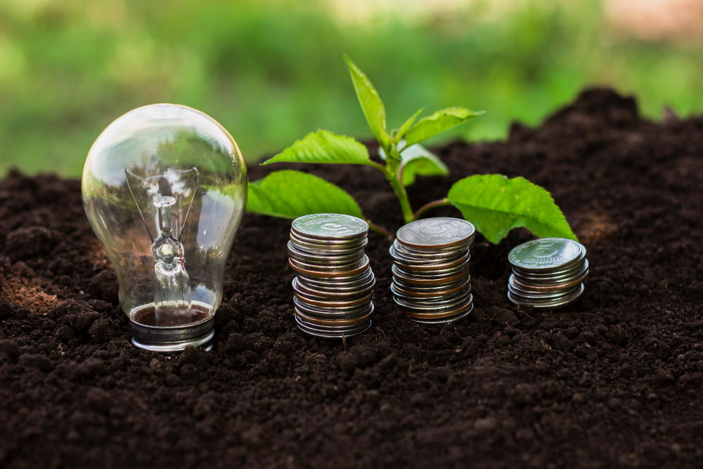 Sviluppo sostenibile e green economy