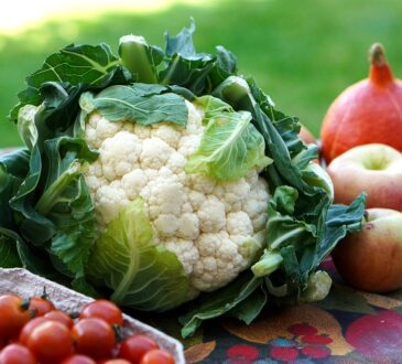 alimentazione